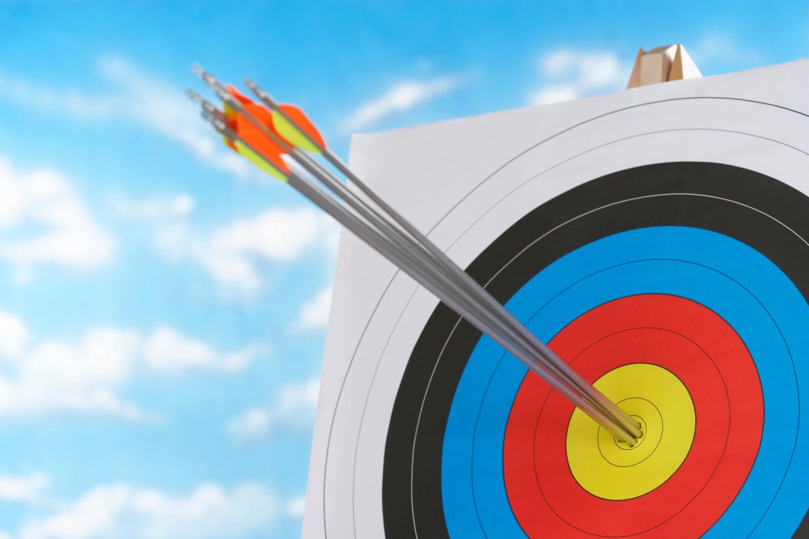 A close up of an arrow in the center of a target.